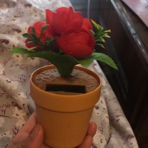 A rose small clock it can move